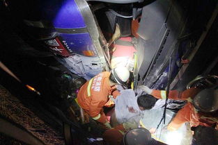 云南省消防協會 全方位守護消防安全與技術服務