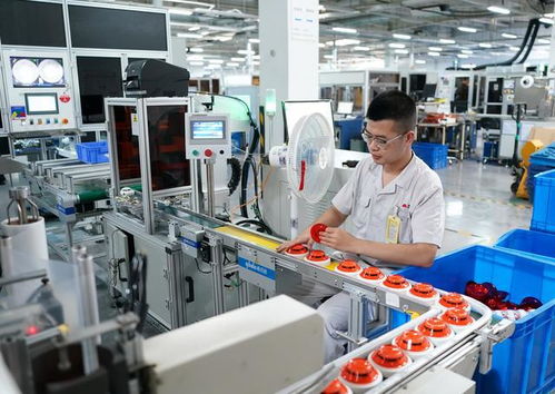 河北秦皇島 擘畫藍(lán)圖，打造電子信息和智慧消防產(chǎn)業(yè)新高地